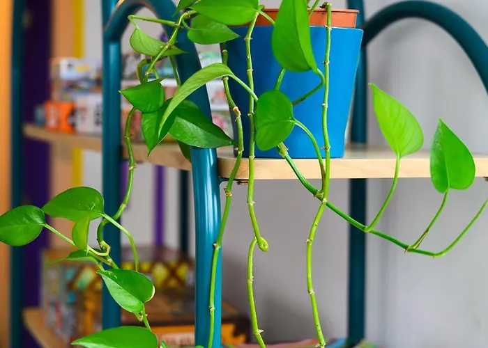 Cool Cool House Πανσιόν